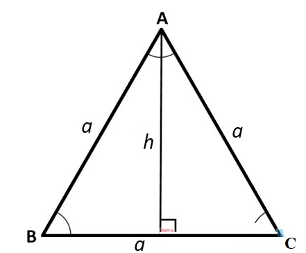 Công thức tính đường cao trong tam giác
